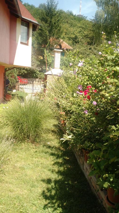 Apartman House Annesa سراييفو المظهر الخارجي الصورة