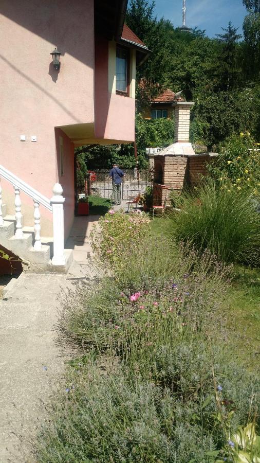 Apartman House Annesa سراييفو المظهر الخارجي الصورة